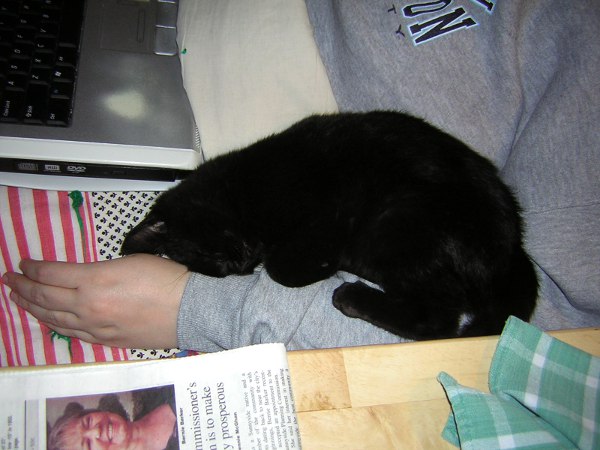 I found another arm to perch on! Tuckered out
