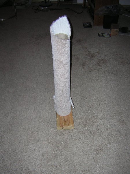 Finished? Recneck Scratching Post 2
