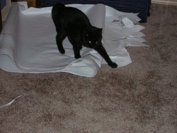 It makes a neat noise when I walk on it. Paper fun