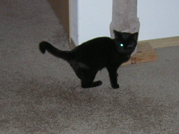I can still zap you with my good eye. Laser Eye