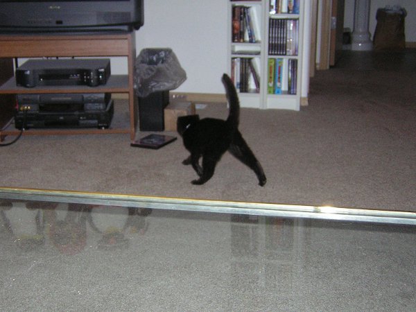 I like my toys now Playing