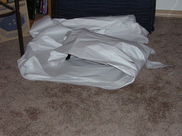 I'm hiding Cat Cave