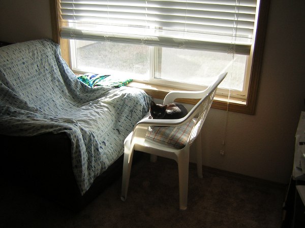 I caught a sunbeam. A new place to rest.