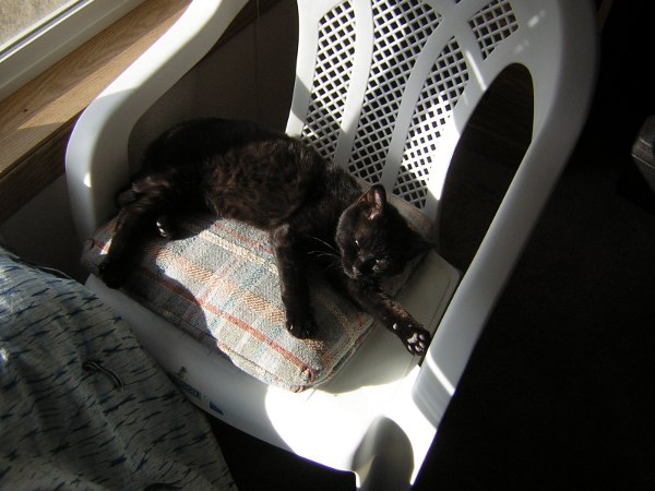 Cushion in sunlight is nice. Inkwell in the sun.