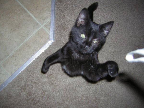 I will catch that camera strap. Jumping!