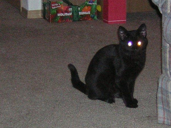 laser eyes 2